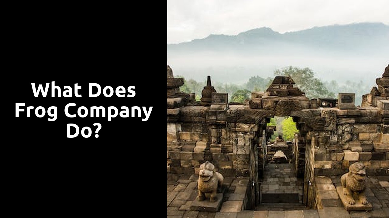 What does frog company do?